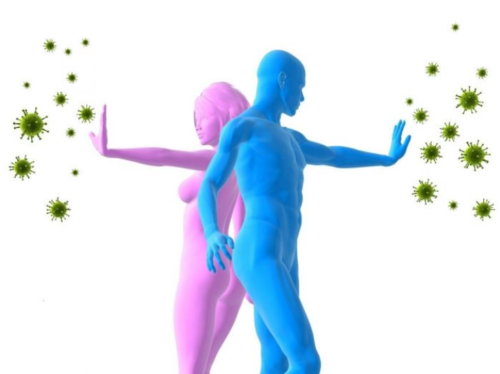 Virus-Abwehr: Spagyrik zum Schutz vor Virus Erkrankungen Virus-Abwehr: Spagyrik zum Schutz vor Virus Erkrankungen