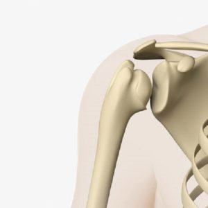 Knochendichtemessung