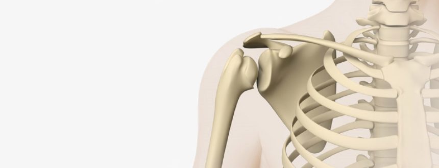 Knochendichtemessung