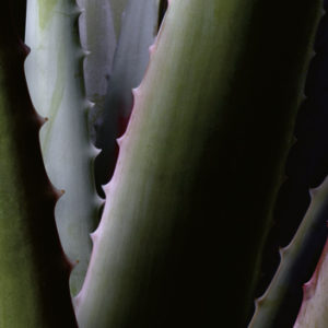 Santaverde Beratertag  04.06.2019