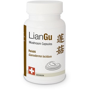 Reishi, ein chinesischer Vitalpilz